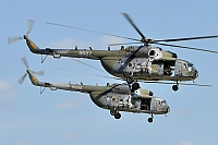 Czech - Air Force – Mil Mi-17-1(Sh) 9887