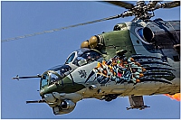Czech - Air Force – Mil Mi-24V Hind 3361