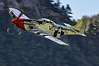 private – North American P-51D Mustang D-FPSI/WD-U