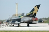TornadoGR4_ZA56490_years_GOLDSTARS_II.jpg