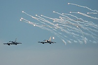 Czech - Air Force – Aero L-159A Alca 6058