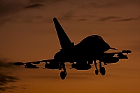 Germany - Air Force – Eurofighter EF-2000 Typhoon T 9803
