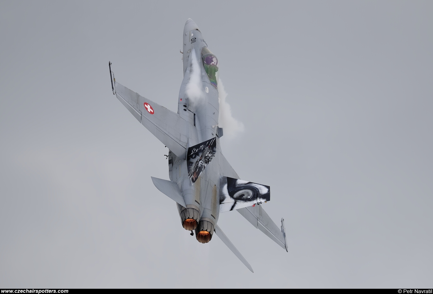 Switzerland - Air Force – McDonnell Douglas F/A-18C Hornet J-5011
