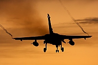 Germany - Air Force – Panavia Tornado IDS 45+25