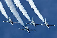 Russ Aerobatics Team – Aero L-39C Albatros RF-49806