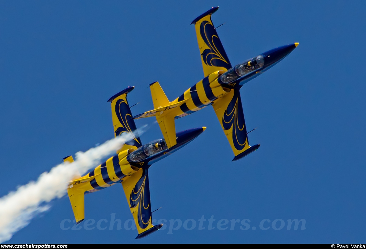 Baltics Bees – Aero L-39C Albatros YL-KSH