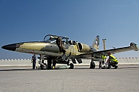 Czech - Air Force – Aero L-39ZA Albatros 5017