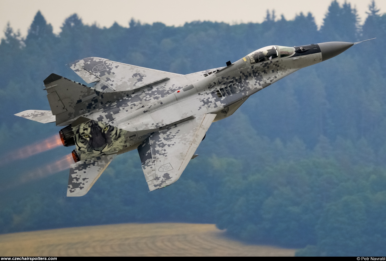 Slovakia - Air Force – Mikoyan-Gurevich MiG-29AS / 9-12A 0921