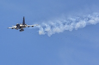 Sweden - Air Force – Saab JAS39C Gripen 250