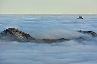 Switzerland - Air Force – Northrop  F-5E Tiger II  J-3068