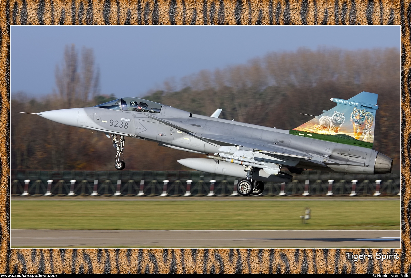 Czech - Air Force – Saab JAS39C Gripen 9238