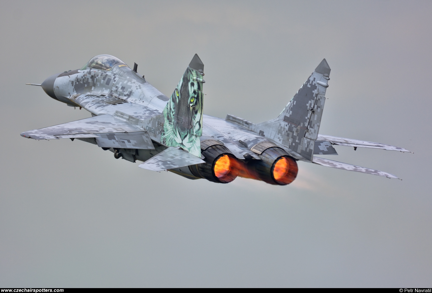 Slovakia - Air Force – Mikoyan-Gurevich MiG-29AS / 9-12A 0921