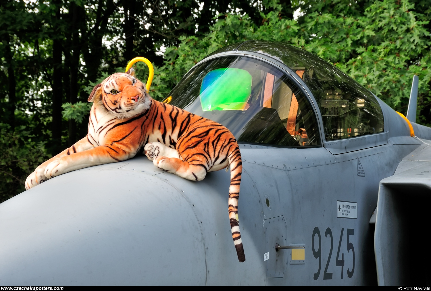 Czech - Air Force – Saab JAS39C Gripen 9245