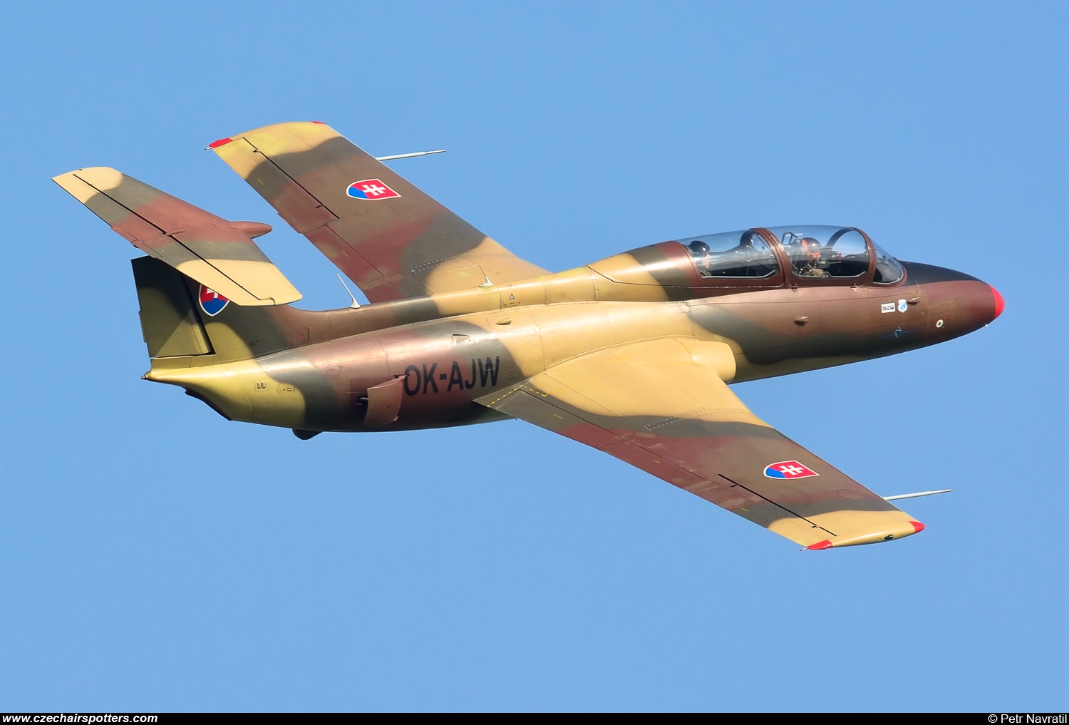 private – Aero L-29 Delfin OK-AJW