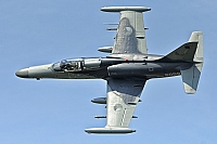Czech - Air Force – Aero L-159A Alca 6059
