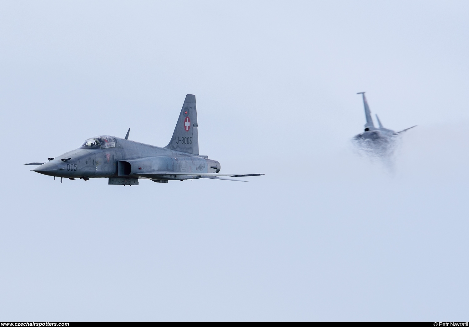 Switzerland - Air Force – Northrop  F-5E Tiger II  J-3005