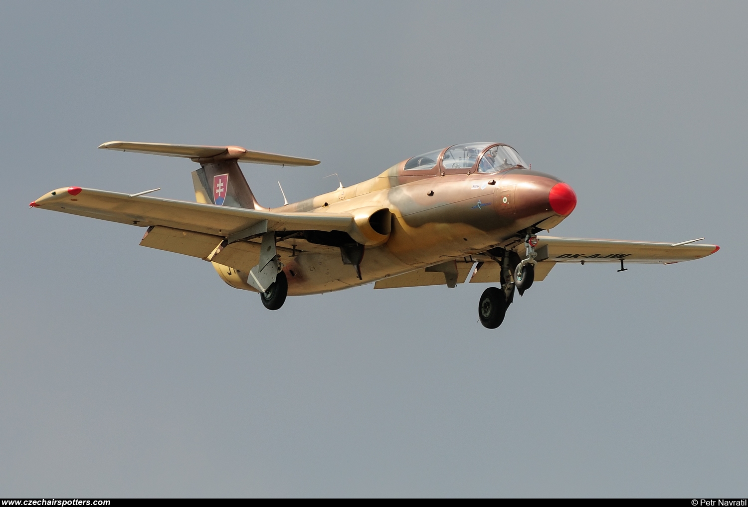 Blue Sky Service – Aero L-29 Delfin OK-AJW