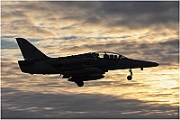 Czech - Air Force – Aero L-159T1 Alca / Albatros II 6069