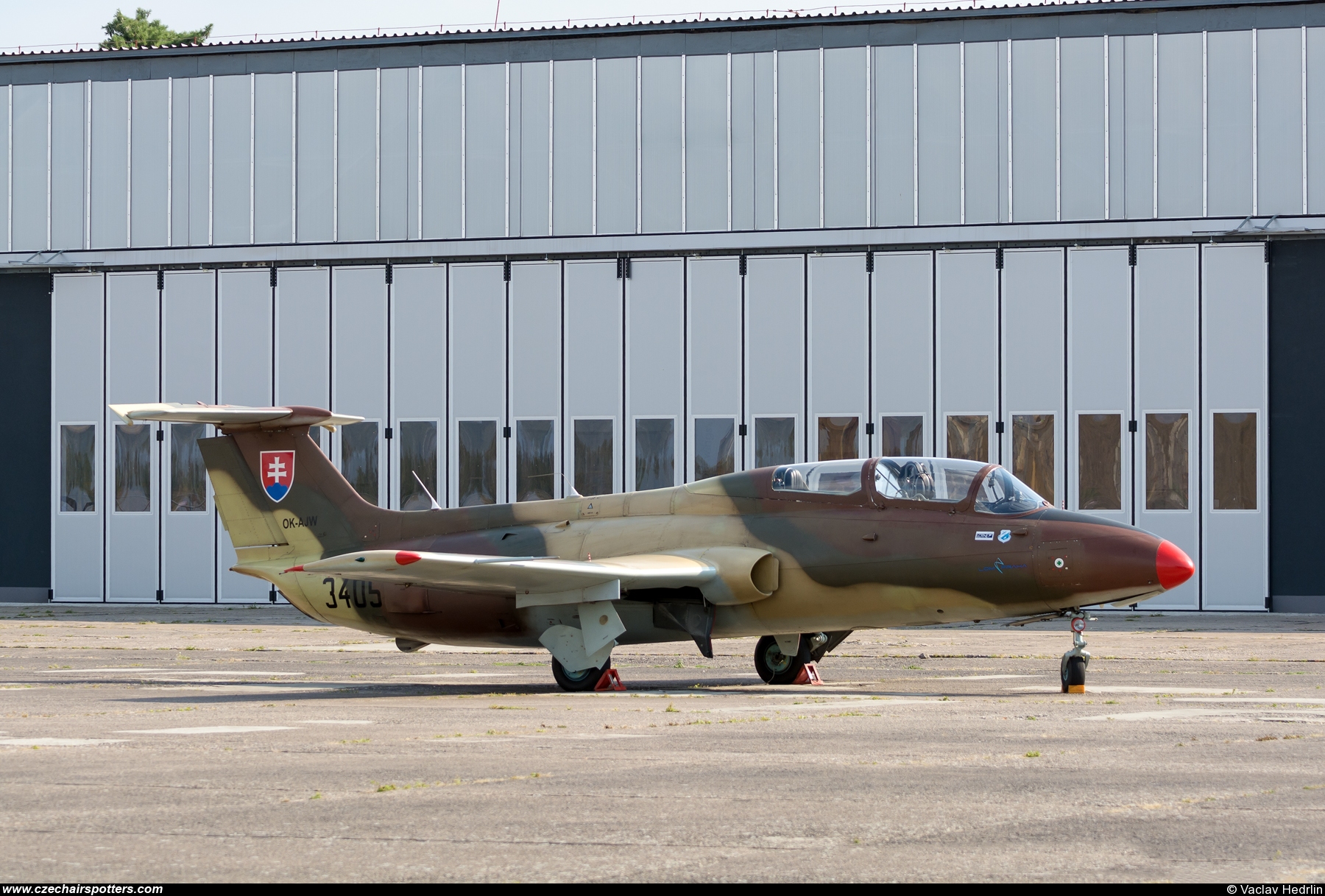 Blue Sky Service – Aero L-29 Delfin OK-AJW