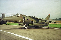 UK - Air Force – British Aerospace Harrier GR7 ZG530 / CL