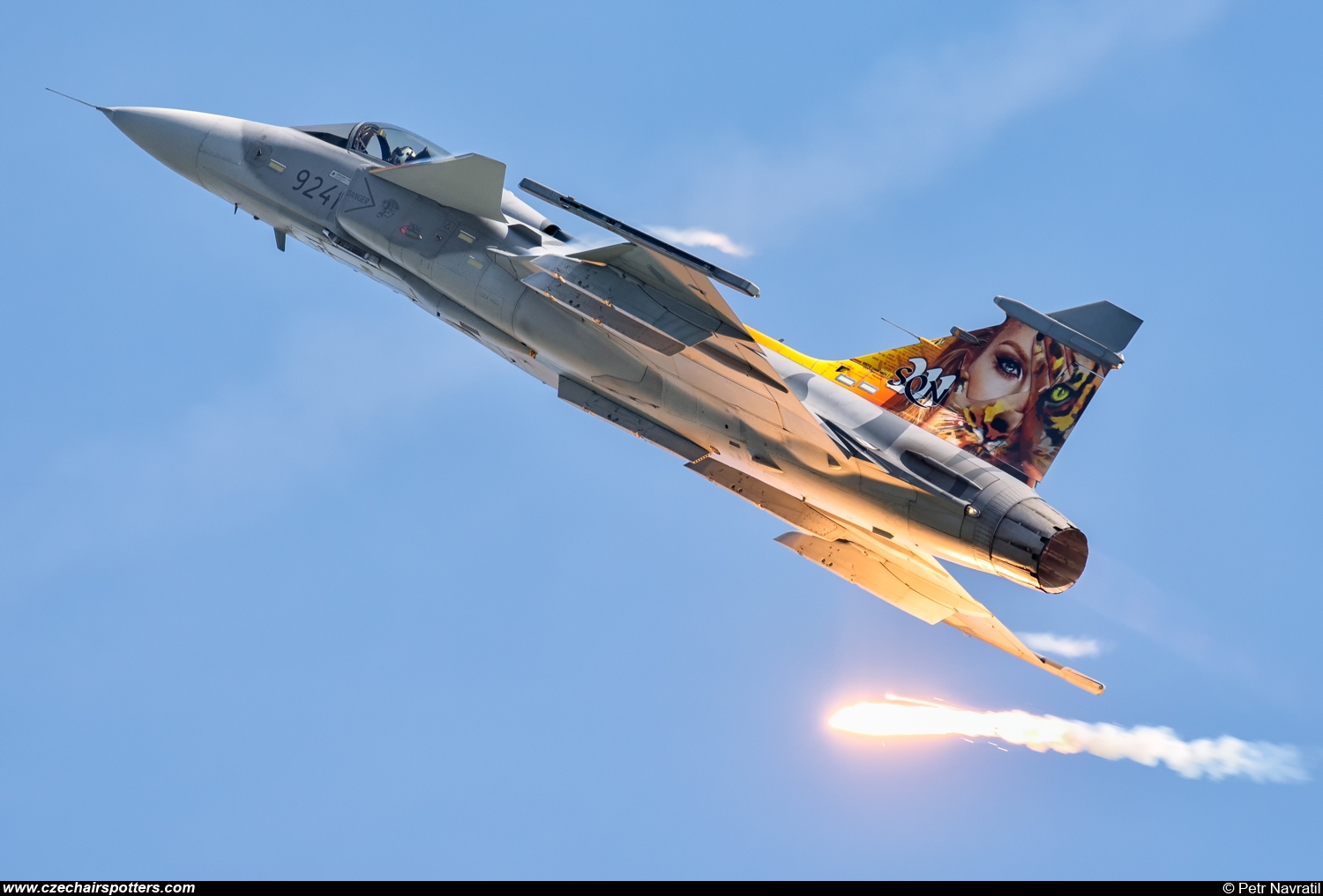 Czech - Air Force – Saab JAS39C Gripen 9241