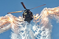 Germany - Army – NHIndustries NH90 TTH 79+43