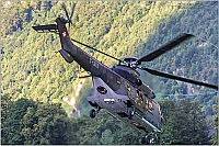 Switzerland - Air Force – Aerospatiale Aerospatiale AS-332M1 Super Puma  T-319