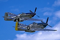 private – North American P-51D-30-NT Mustang OO-PSI / PZ-W private – North American P-51D-30-NT Mustang OO-PSI / PZ-W