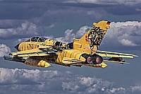 Germany - Air Force &ndash; Panavia  Tornado ECR 46+38